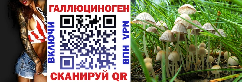 Галлюциногенные грибы Cubensis Княгинино