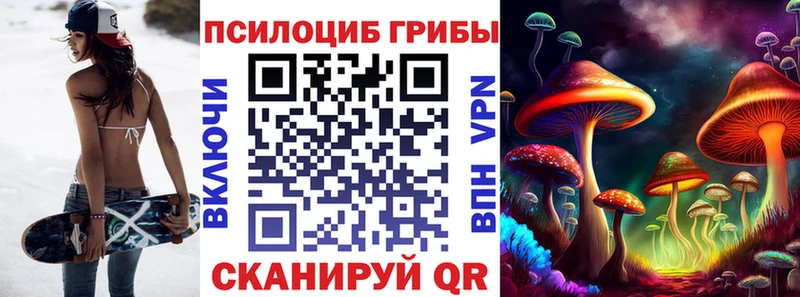 Галлюциногенные грибы Psilocybe  ссылка на мегу как зайти  Княгинино 